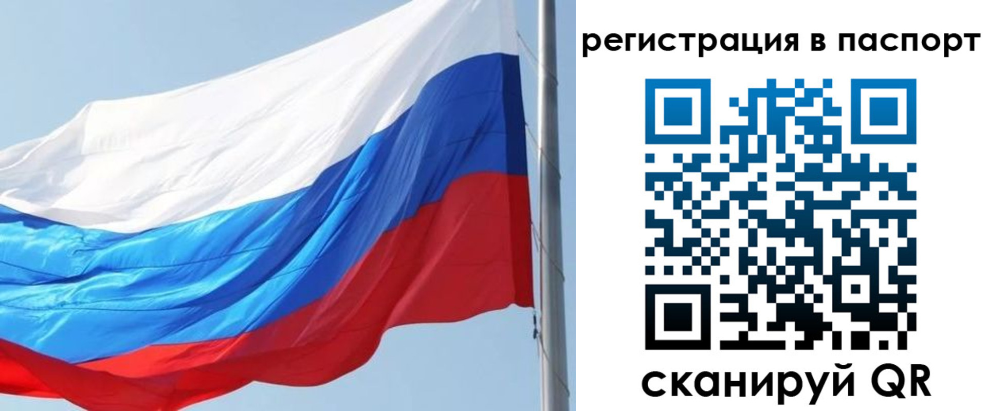 прописка законно в Камешково